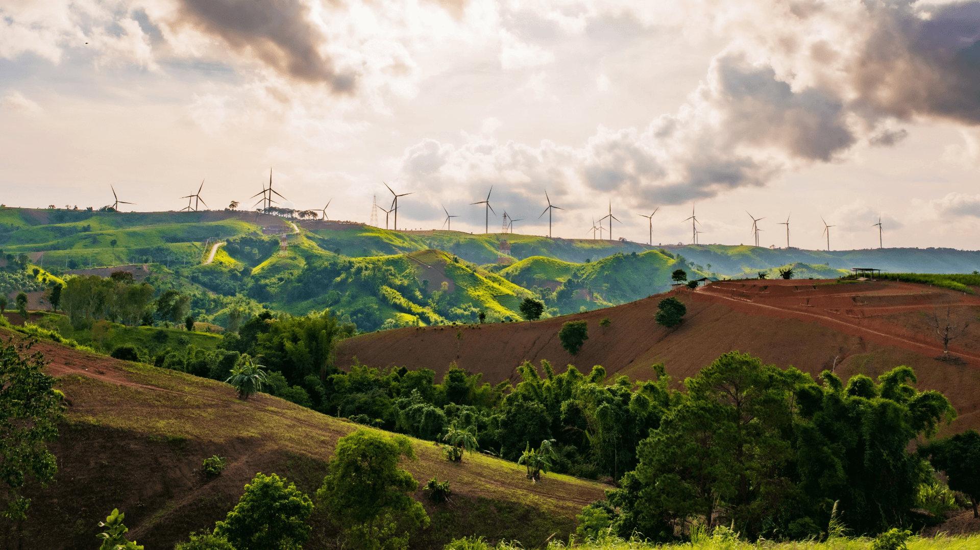 EXAMPLES OF SUSTAINABLE DEVELOPMENT visual data 7